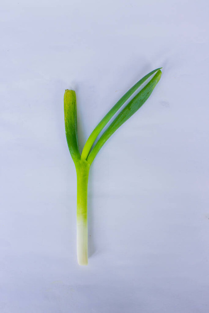 raw organic leek and leek slice isolated on white background - Foto, Imagem