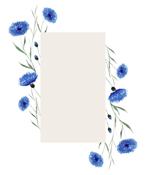 Letní rámeček divokých květin a volně rostoucích zelených rostlin. Jemné květinové akvarel pozadí pro pozvání nebo pozdrav karty, plakát, příroda banner, výtvarné tisky. - Fotografie, Obrázek