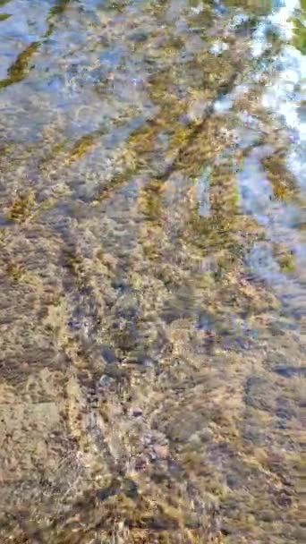Water flows over surface of old stone overgrown with muloi and silt on sunny day. Ripples on surface of water and reflections of blue sky on mirror surface. Natural abstract background. Vertical video - Video