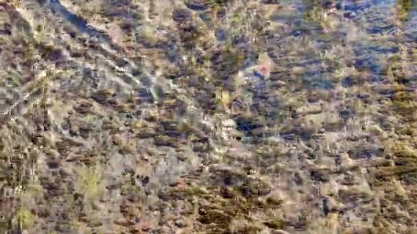 Water flows over surface of old stone overgrown with muloi and silt on sunny day. Ripples on surface of water and reflections of blue sky on mirror surface. Water flow. Natural abstract background - 映像、動画