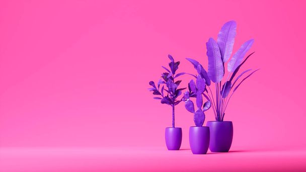 Sada fialových rostlin ve fialových květináčích izolovaných na růžovém pozadí ve studiu. Dekorativní plastové rostliny. Vzor nebo tapety. 3D vykreslení - Fotografie, Obrázek
