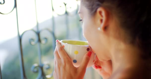 A content young woman drinking a cup of tea while enjoying the view. - Materiał filmowy, wideo