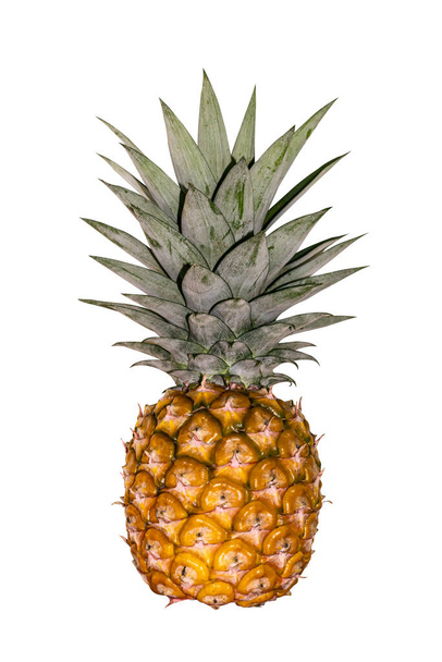 Pineapple isolated from background, ripe fruit is yellow, close-up, white backdrop - 写真・画像