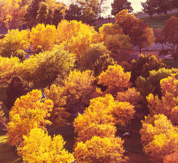 Herbstszene - Foto, Bild
