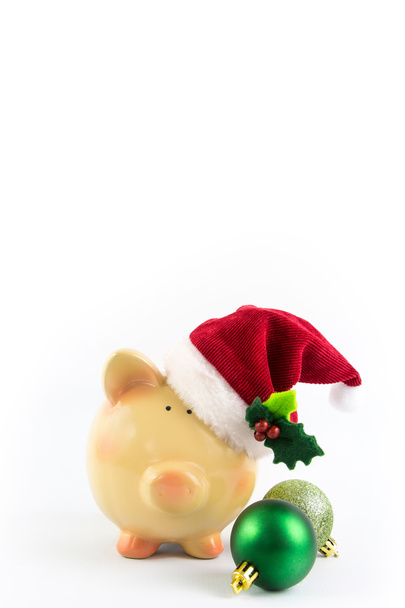 Piggy bank Santa isolated on white background - Фото, зображення