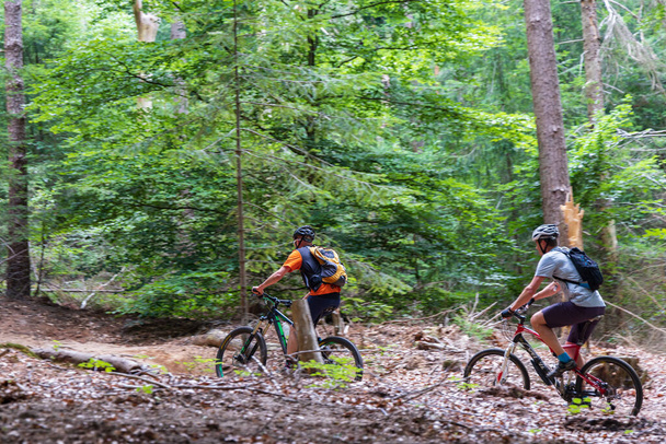 Amerongen, The Netherlands - July 10, 2022: Mountian bikers in forest Amerongse Berg In Amerongen in The Netherlands - Foto, Imagem
