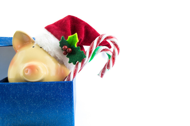 Sparschwein Weihnachtsmann in Geschenkbox isoliert auf weiß  - Foto, Bild