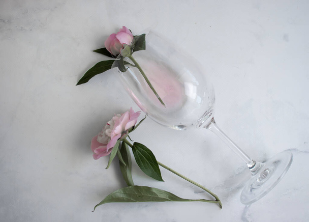 A glass of wine flower peony on a light background - Фото, изображение
