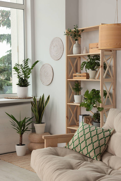 Stylish room interior with beautiful house plants. Home design idea - Foto, Imagem