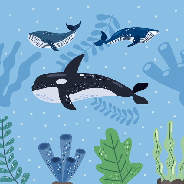 three whales and sealife scene - Vector, Image