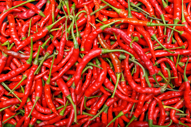 červené chilli papričky - Fotografie, Obrázek