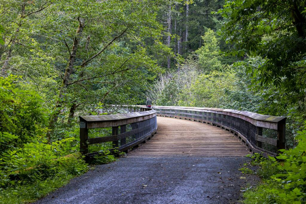 A wooden bridge leading to the forest - Zdjęcie, obraz