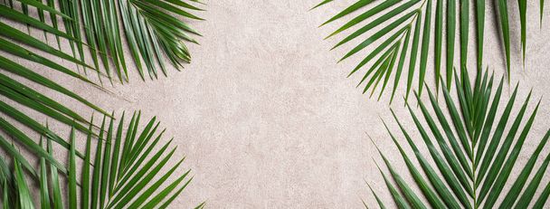 Top view of tropical palm leaves branch isolated on dark gray background with copy space. - Foto, imagen