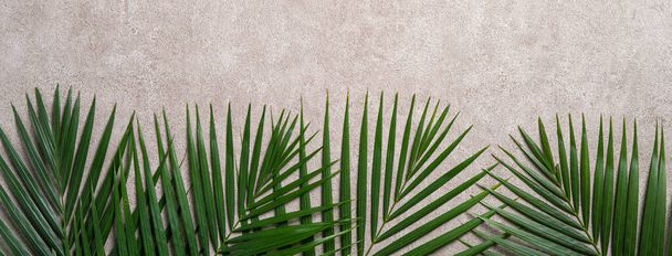 Top view of tropical palm leaves branch isolated on dark gray background with copy space. - Fotoğraf, Görsel