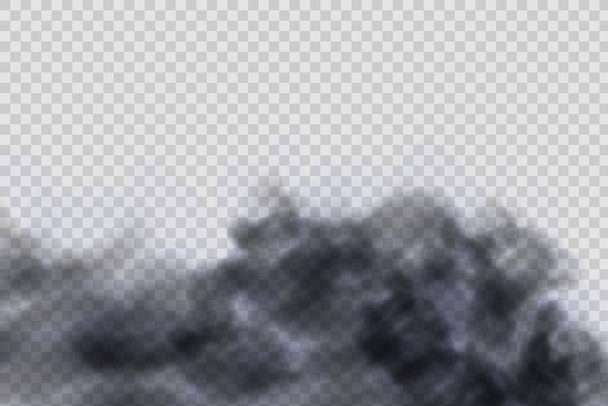 Realistic vector isolated on transparent background.Dust black cloud with particles with dirt,cigarette smoke, smog, soil and sand particles. Concept house cleaning, air pollution,big explosion. - Vektor, Bild