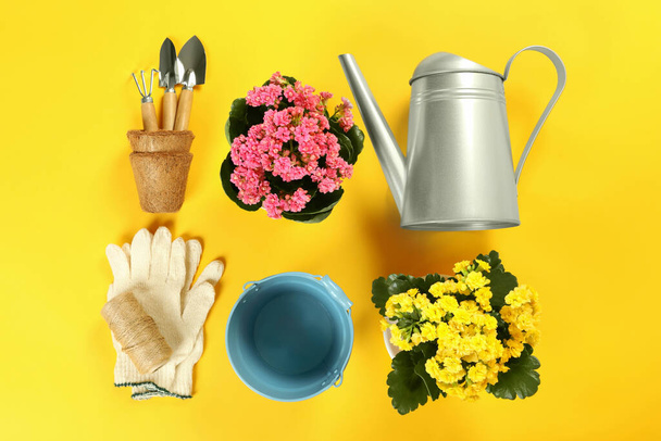 Gardening tools and accessories on yellow background - Foto, Bild
