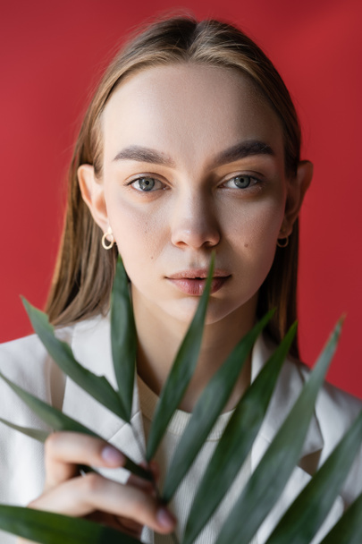 portrait of charming woman with natural makeup near green plant isolated on crimson - Photo, Image