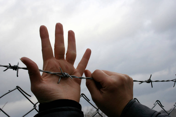 barbed wire mesh and woman's hands - Valokuva, kuva