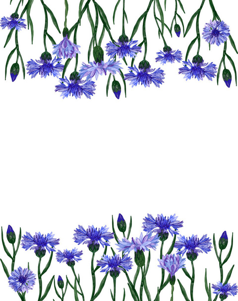 Υδατογραφία μπλε cornflowers πλαίσιο απομονώνονται σε λευκό φόντο. Εύκολο για εξάχνωση, εκτύπωση, λεύκωμα, μενού, άλλα. - Φωτογραφία, εικόνα