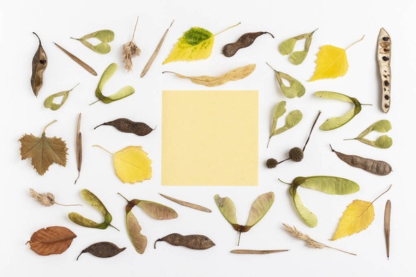 Autumn background from yellow dry leaves and seeds. Flat lay. - Foto, Imagem