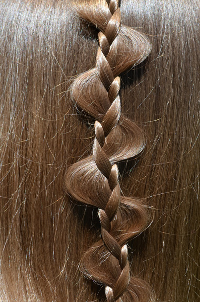 Fonott haj - Fotó, kép