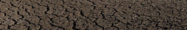Terre fissurée à cause de la sécheresse. La pénurie mondiale d'eau sur la planète. Concept de réchauffement climatique. Fissures sèches dans la terre. - Photo, image