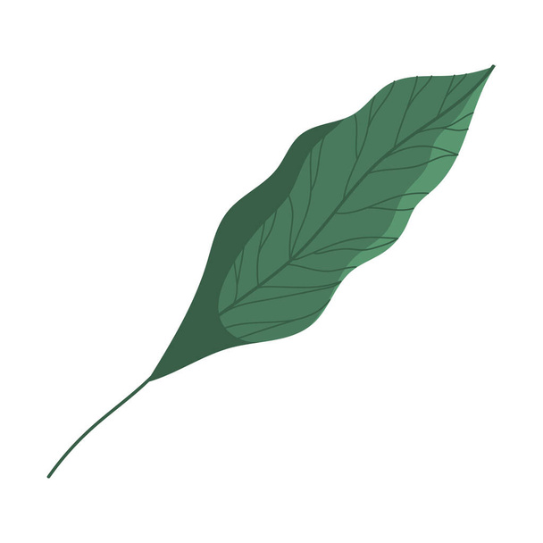 leave plant foliage nature icon - Vector, afbeelding