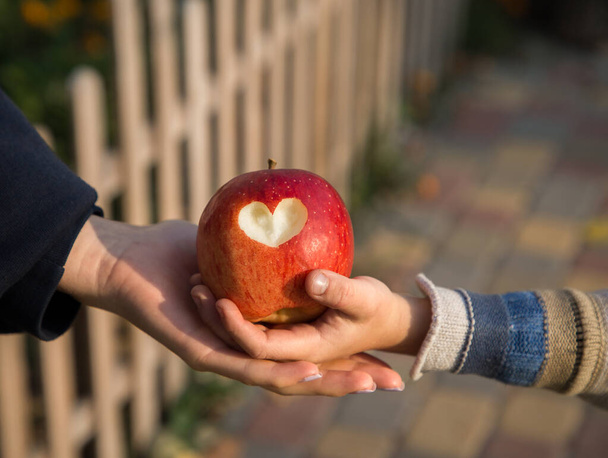 main féminine et la main d'un enfant tiennent une grosse pomme rouge avec un cœur gravé dessus. Le concept de relations amicales dans la famille, fête des mères, enfance heureuse, maternité. Vitamine alimentation saine - Photo, image