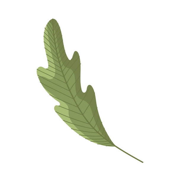 leaf plant foliage nature icon - Vektori, kuva