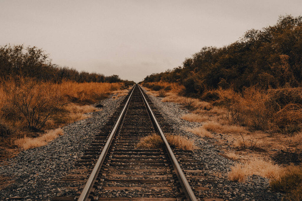 Vintage Railroad leading off into distance.  - Zdjęcie, obraz
