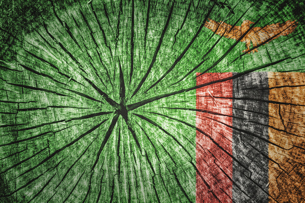 Zambiya bayrağı - Fotoğraf, Görsel
