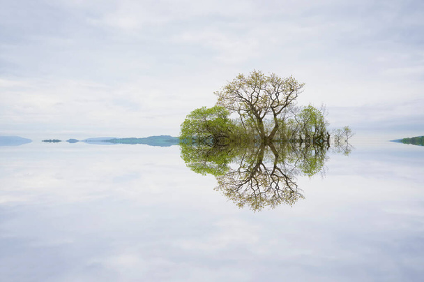 Peaceful calm lake reflection of trees on island at Loch Lomond UK - Foto, Imagen