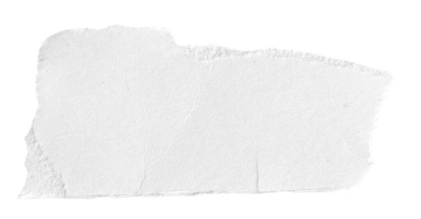 white paper on a white isolated background - Photo, image