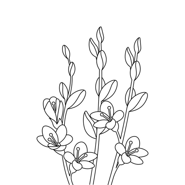 bud of petal vector illustration graphic outline artwork flower sketch - Вектор,изображение