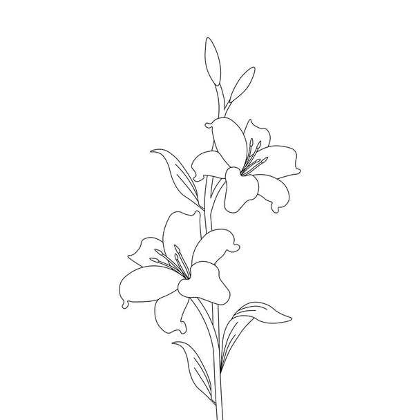 beautiful botanical vector graphic line art coloring page flower - Vetor, Imagem