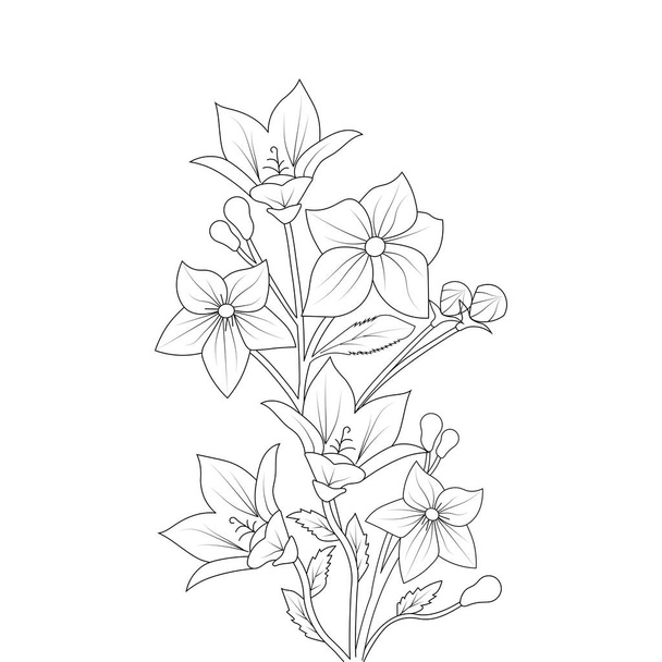 balloon flower coloring page line art with blooming petals and leaves illustration - Вектор,изображение