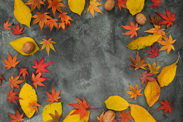 Thanksgiving day frame concept. Fall maple leaves, walnuts on dark background. Autumnal season. Flat lay, top view - 写真・画像