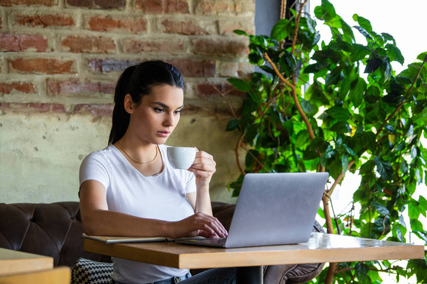 Woman working on laptop at a cafe. Young woman working on a laptop. Beautiful young woman working with laptop from coffee shop. Attractive woman sitting in a cafe with a laptop - Foto, Imagem