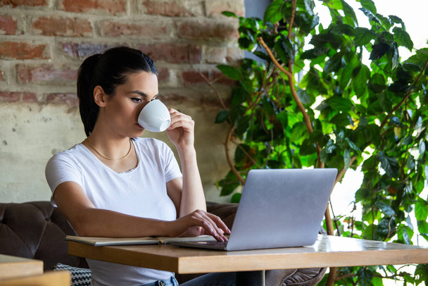 Woman in a good mood with cup of coffee sitting in cafe. Bright sunny morning. Gorgeous female drinking coffee and surfing the net in the coffee break. Morning coffee is my daily routine - Foto, Imagen