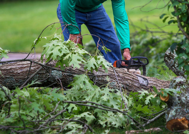 Worker using a chainsaw to cut up large branches of a tree that are on the ground. - Foto, Imagen