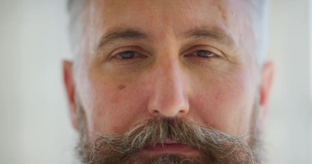 Closeup of mature hipster man thinking with unruly, untidy beard, showing serious expression and standing alone. Headshot, face or portrait of stern, assertive or confident gentleman with facial hair. - Imágenes, Vídeo