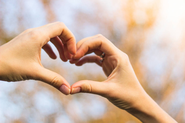 Símbolo del corazón con manos. Naturaleza bokeh fondo - Foto, imagen