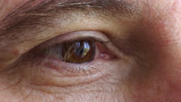 Closeup of a male brown eye with movement and perfect vision. Anatomy details of a human eyeball looking at the iris for eyesight or optometry exam. A mature man skin wrinkle textures and eyelashes. - Кадры, видео