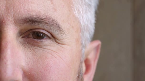 Gros plan du visage d'un homme plus âgé aux cheveux gris qui a l'air calme, fixe et clignotant. Portrait de tête d'un psychologue principal ou d'un pensionné masculin mature aux yeux bruns et à la peau claire jouissant d'une retraite - Séquence, vidéo