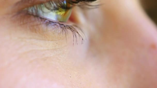 Closeup of a woman staring and blinking while looking focused and thinking of ideas. Green eyes of a female with good vision feeling awake, pensive and aware of humanity while seeking inspiration. - Filmagem, Vídeo