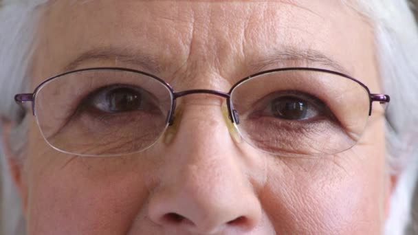 Closeup of senior womans eyes thinking of a happy memory and daydreaming. Portrait of an old female staring with hope for humanity. The detail of a mature ladys face wearing glasses. - Πλάνα, βίντεο