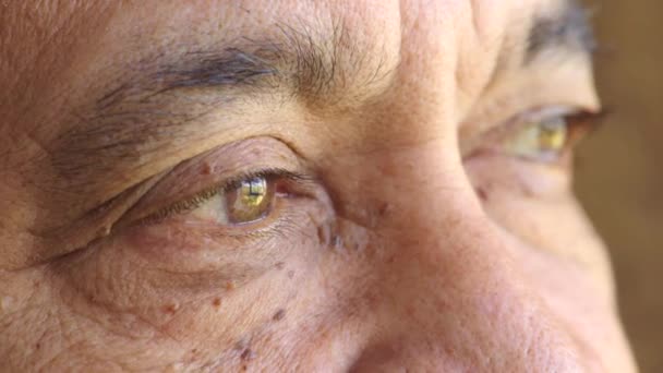 Closeup of a senior mans eyes thinking about past memory and mourning, wishing or longing for peace while feeling lonely or alone. Detail face texture of mature man needing new prescription glasses. - 映像、動画