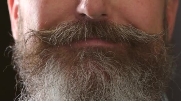 Closeup of a smiling man with crooked teeth and a thick beard. Details of a mature retro bearded male with a big smile on his face. Unshaven guy with a mustache or facial hair and stained teeth. - Filmagem, Vídeo