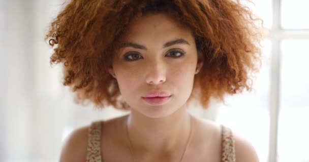 Portrait of the face and head of a woman with an afro standing alone. Closeup headshot of a redhead feeling content, confident and proud. Staring at the camera and blinking while indoors at home. - Záběry, video