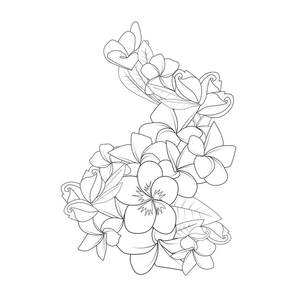 frangipani flower doodle coloring page outline vector illustration of isolated in white background - Vektör, Görsel